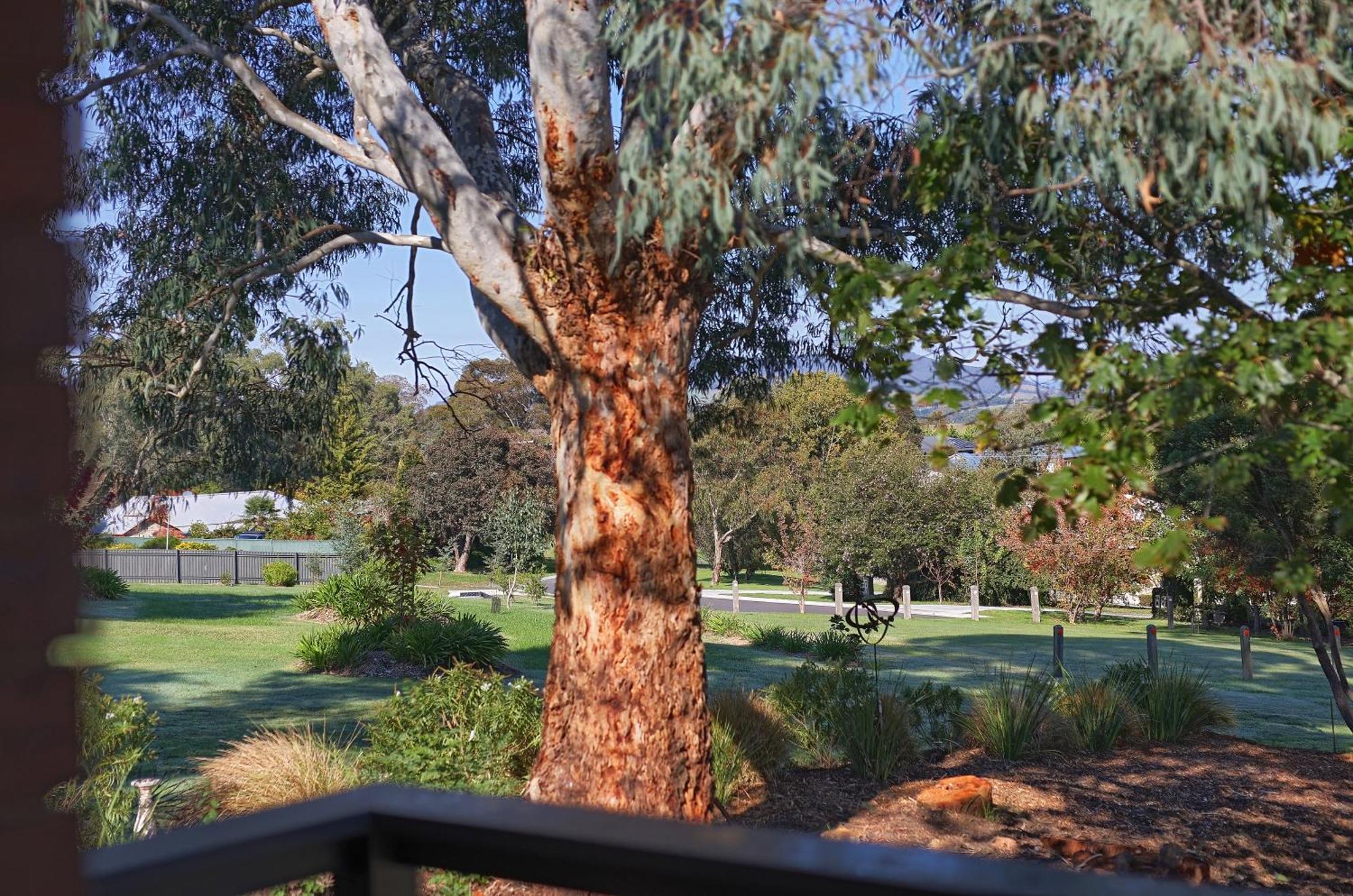 Yarra Gables Motel Healesville Kültér fotó